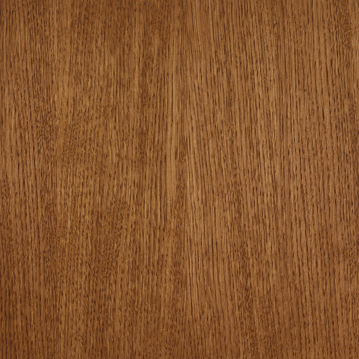 Rubio Monocoat Oil Plus 2C Hazelnut shown on White Oak veneer